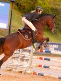 DSC04785 DSC04785