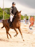 DSC03675 DSC03675