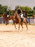 DSC03678 DSC03678