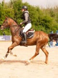 DSC03680 DSC03680