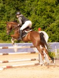 DSC03681 DSC03681