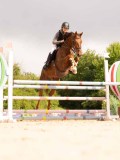 DSC03687 DSC03687