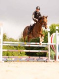 DSC03688 DSC03688