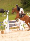 DSC05476 DSC05476