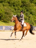 DSC04958 DSC04958