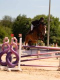 DSC03849 DSC03849