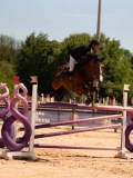 DSC03850 DSC03850