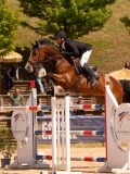 DSC03855 DSC03855