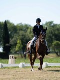 DSC07144 DSC07144
