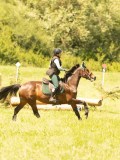 DSC00720 DSC00720