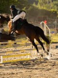 DSC08568 DSC08568