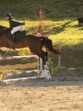 DSC08569 DSC08569