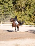 DSC01825 DSC01825