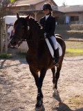 DSC01831 DSC01831