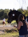 DSC01834 DSC01834