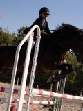 DSC03895 DSC03895