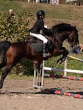 DSC03896 DSC03896