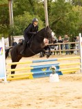 DSC09354 DSC09354