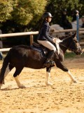 DSC07946 DSC07946