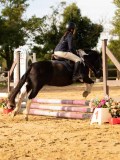DSC07948 DSC07948