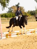 DSC07949 DSC07949