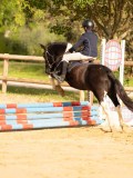 DSC07952 DSC07952