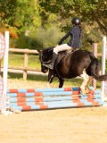 DSC07953 DSC07953
