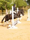 DSC07954 DSC07954