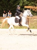 DSC09100 DSC09100