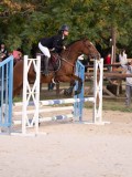 DSC07833 DSC07833