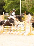 DSC08454 DSC08454