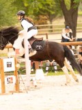DSC08457 DSC08457