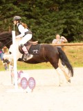 DSC08458 DSC08458