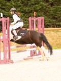 DSC08459 DSC08459