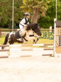 DSC08464 DSC08464