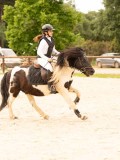 DSC08465 DSC08465