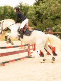 DSC09699 DSC09699