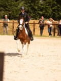 DSC04361 DSC04361
