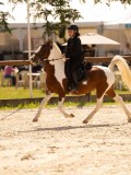 DSC04365 DSC04365