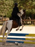 DSC04375 DSC04375