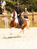 DSC04376 DSC04376