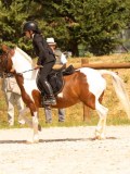 DSC04377 DSC04377