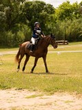 DSC09284 DSC09284