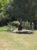 IMG_3965 IMG_3965