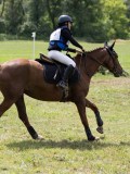 IMG_3970 IMG_3970