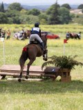 IMG_3972 IMG_3972