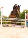 DSC01769 DSC01769