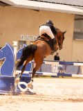 DSC08545 DSC08545