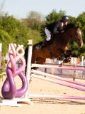 DSC05266 DSC05266