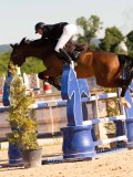 DSC05268 DSC05268